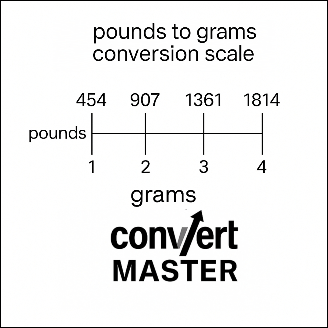 Pounds to grams conversion scale